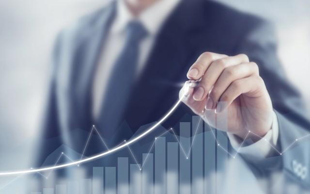 Росреестр перевыполнил план по доходам в 2024 году и завершил госпрограмму на 100%