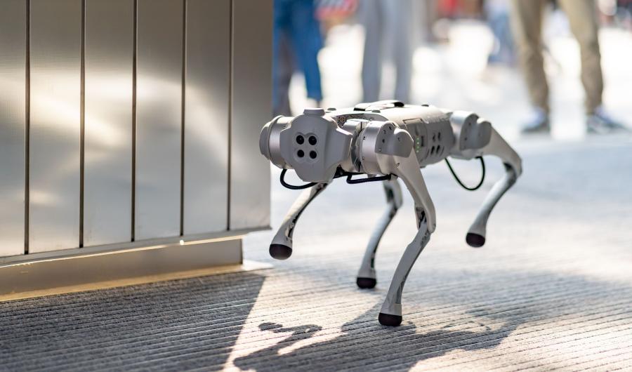 Суд арестовал бионического робота-собаку Unitree GO1 по делу о мошенничестве