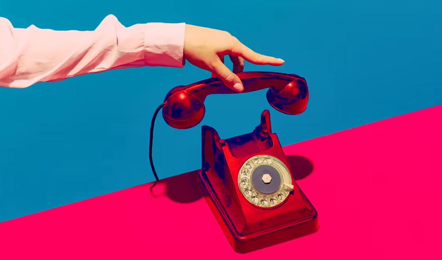 Росреестр открыл «горячие линии» по правилам использования земельных участков